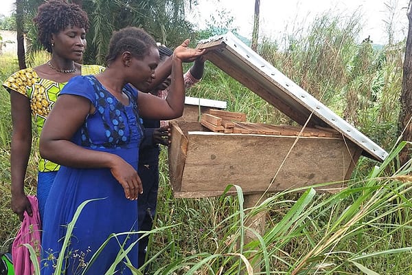 Safeplan Uganda's bee keeping vocational training program