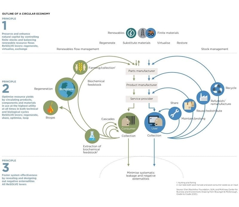 infographic on circular economy from Ellen MacArthur Foundation
