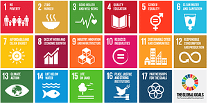17-sustainable-development-goals-graphic