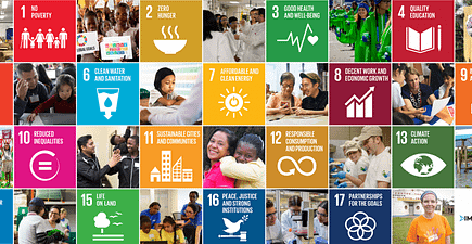 UN Sustainable Development Goals