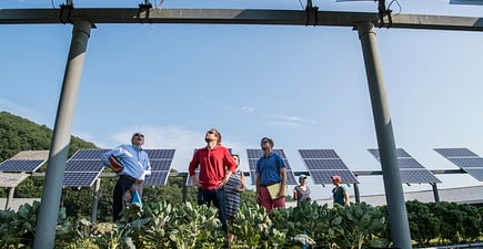 regenerative economy