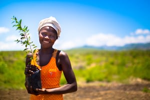 Timerland - episode 1