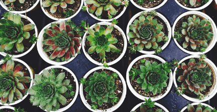 Step 4 – Decide on Ideal Workplace Environment