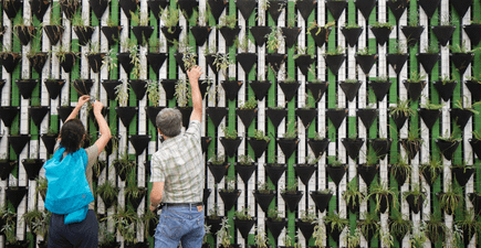 Building a Culture of Social Impact and Sustainability at Your Company