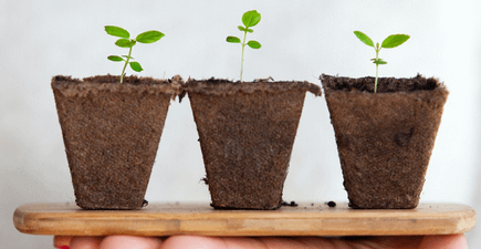 What ESG Reporting Is — and How to Do It