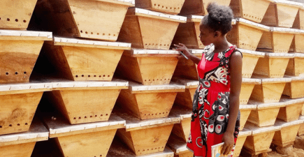 Putting Human-Centered Design Into Action as a Skills-Based Volunteer