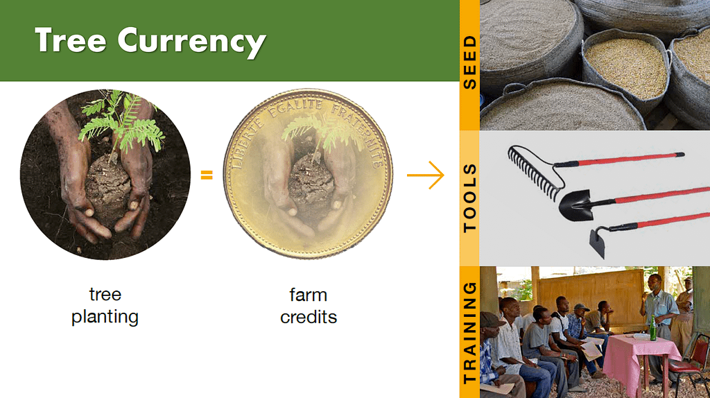 Tree Currency Model