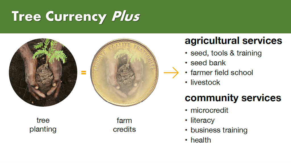 Tree Currency Model 'Plus'