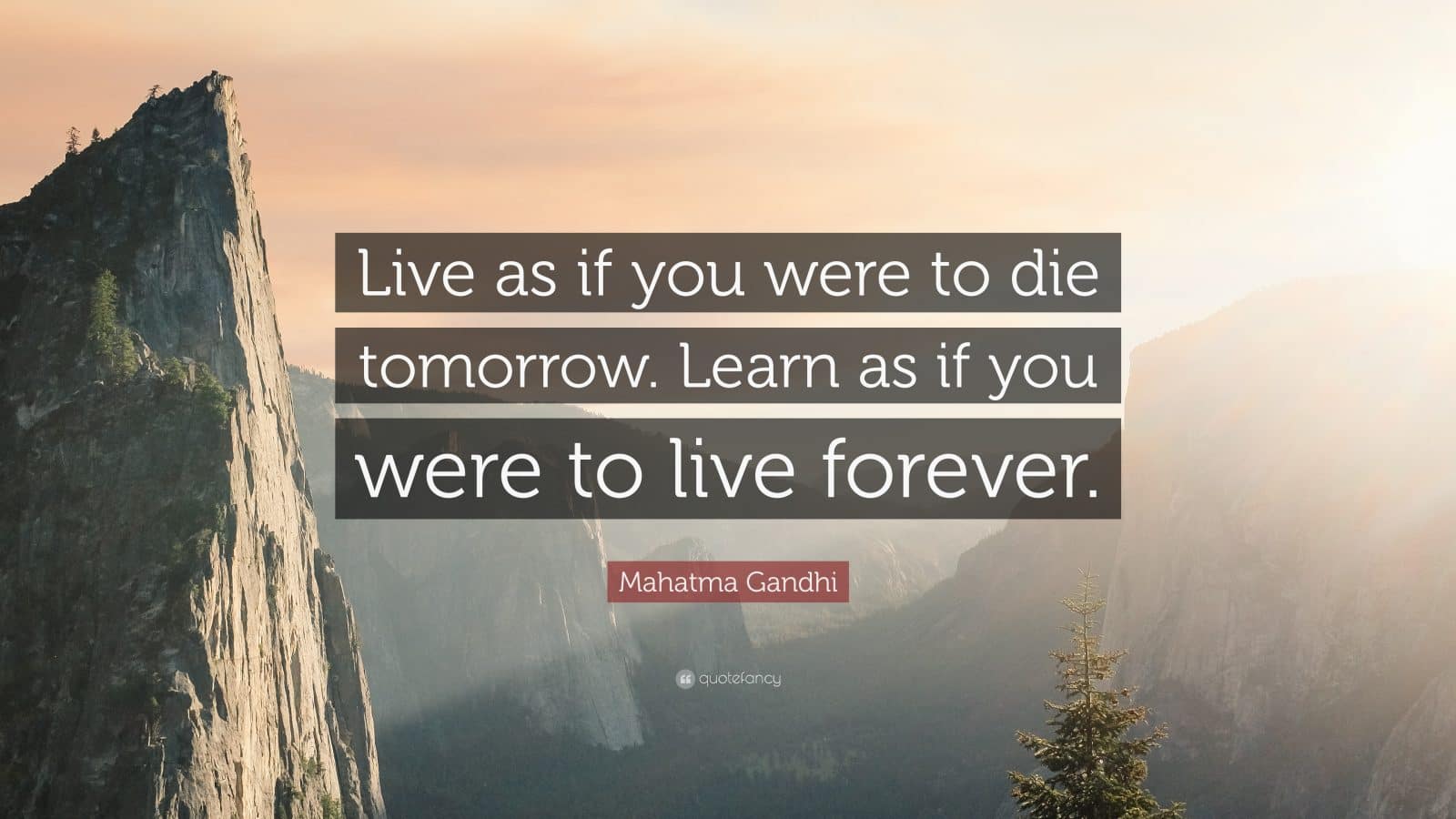 Ghandi-learn-forever-quote