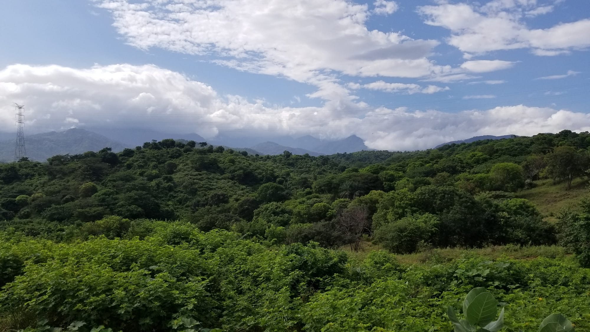 The beautiful surrounding nature that Smart Hydro Power strives to work in harmony with.