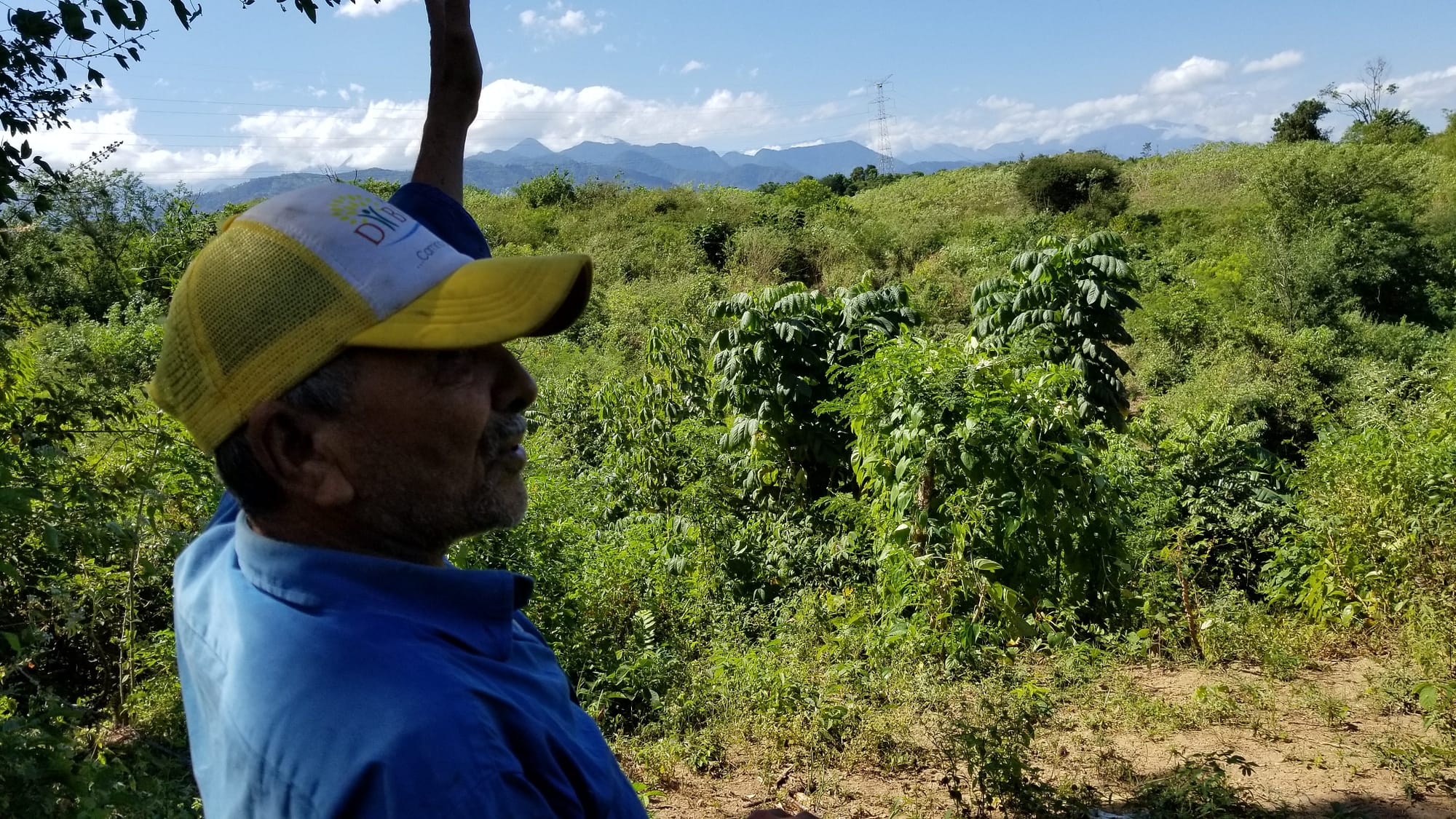 A Smart Hydro Power employee examining an irrigation project.