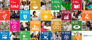 Image of United Nations Sustainable Development Goals