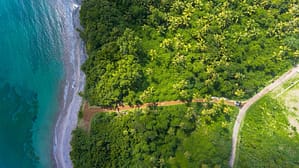 arial photo of forest meeting shore to symbolize climate resilience