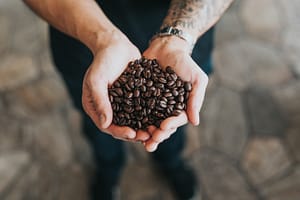 nathan-dumlao-363125-unsplash