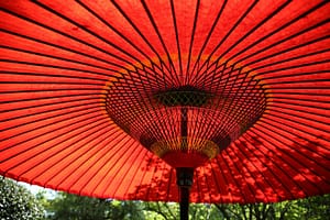 umbrella symbolizing circularity