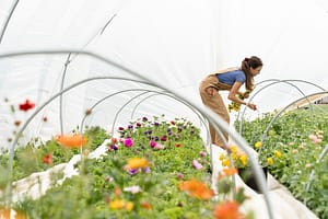 regenerative farming