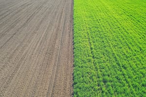 conventional vs regenerative agriculture