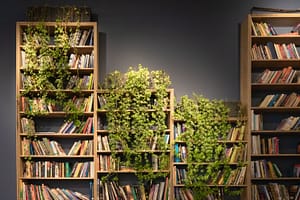 bookshelf with plants