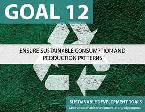 SDG Goal 12 is responsible consumption from United Nations Sustainable Development Goals