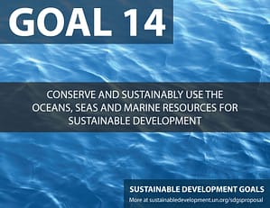 SDG Goal 14 is about conserving our seas and ocacions (life below water)  from United Nations Sustainable Development Goals