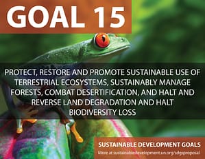 SDG Goal 15 is protecting the environment and life above land from United Nations Sustainable Development Goals