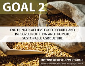 SDG Goal 2 - hunger from United Nations Sustainable Development Goals