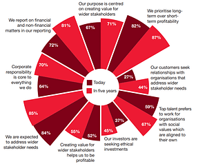 PWC Global CEO Survey