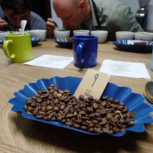 Only the best of coffee beans make the cut!