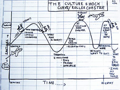 Culture Shock Roller Coaster