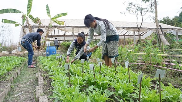 Students in training labeling vegetables in the Panyanivej community garden