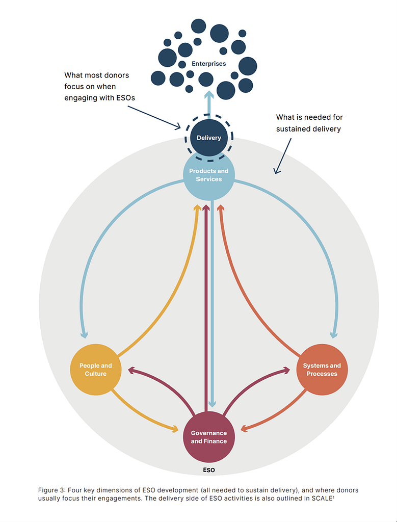 Graphic from Argidius Sustain Impact report illustrating where most donor funding for business development support is directed